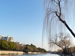 -渌洋湖湿地公园