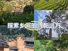 -杨家堂村