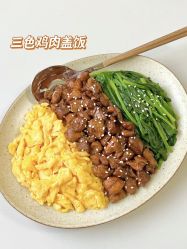 -Fundi张玉珊修身堂·indiba·BTL科技瘦身