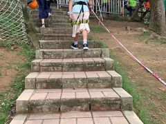 -天鹿湖森林公园