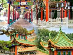-广州兰圃