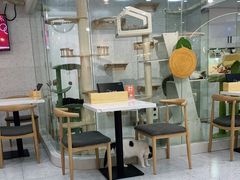 -喵园·猫主题咖啡厅·撸猫·猫咖(国贸店)