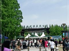 -黄海国家森林公园