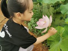 -陶辛水韵