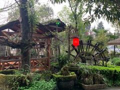 -青城甲(青城山店)