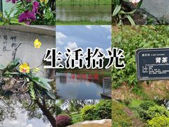 -东莞植物园
