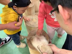 -藦茜花园宠物主题亲子互动体验馆(国顺东路店)