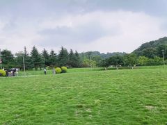 -铁山坪森林公园