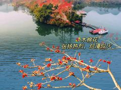 -三亚西岛海洋文化旅游区