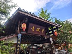 -青城甲(青城山店)