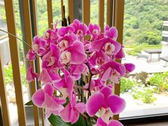 -台北北投丽禧温泉酒店