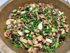 -铁山坪森林公园