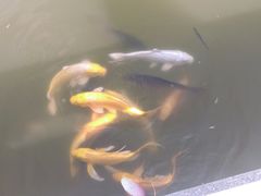 -武清南湖绿博园