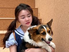 -帕帕拉兹宠物(亚洲旗舰店)