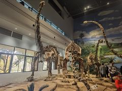 -自贡恐龙博物馆
