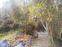 -天芳悦潭度假村温泉