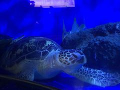 -成都浩海立方海洋公园