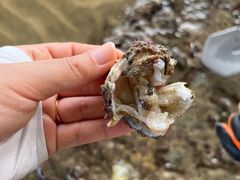 -日月湾海门游览区