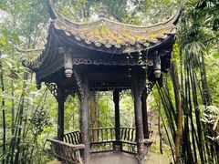 -凤栖山