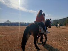 -合肥三国新城遗址公园