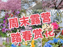 -上海辰山植物园