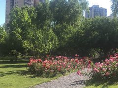 -中央广播电视总台(光华路办公区)