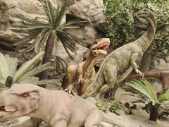 -国家自然博物馆