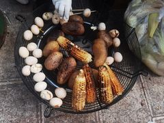 -西双版纳傣族园