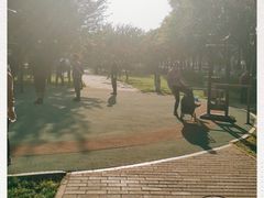-唐城墙遗址公园