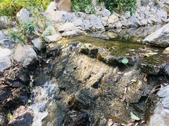 -静之湖湖畔餐厅