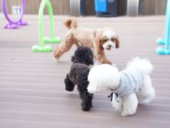 -星光摄影器材城