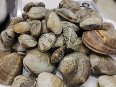 蛤蜊-集杰尚品海鲜烤肉自助餐厅(乳山振华店)
