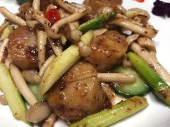 -蝶园·装修中(BFC外滩金融中心店)