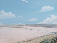 -莺歌海盐场
