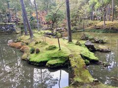-西芳寺(苔寺)