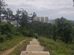 -青龙山国家森林公园