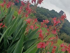 -清溪大王山森林公园