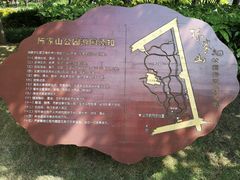 -陈家山荷花公园