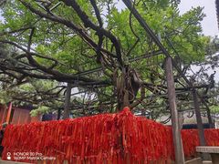-红螺寺