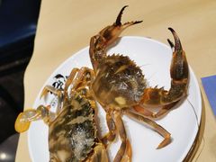 -初色海鲜自助(万丰路店)