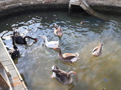 -南宫五洲植物乐园