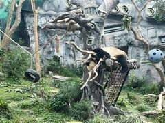 -石排湾郊野公园