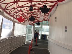 -飞跃加拿大