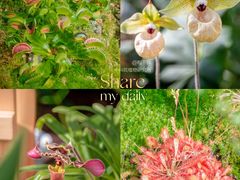 -国家植物园南园