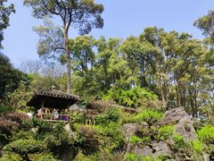 -南山植物园