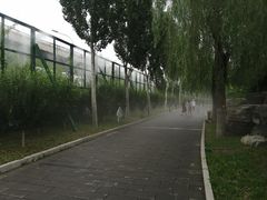 -丰台花园