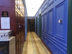 -东晨宝格丽品质造型