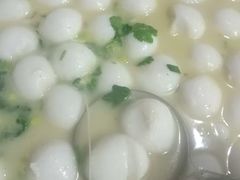 -柘林湖生态鱼馆