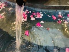 -宁海森林温泉