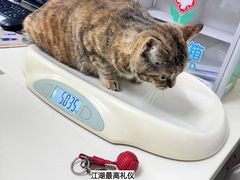 -宠颐生中康贝怡动物医院